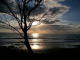 海,水,樹