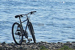 海灘,海,假期