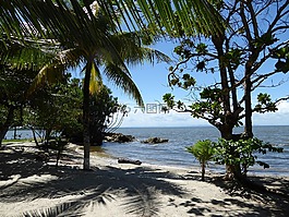 海灘,加勒比海,危地馬拉