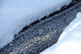 冬天,雪,冷