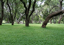 景區(qū),公園,寧?kù)o