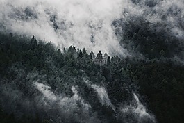 森林,霧,性質(zhì)