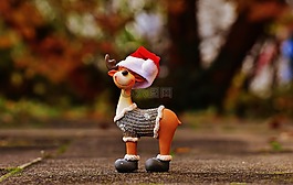 穆斯,圣誕節(jié),圣誕主題