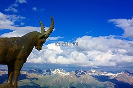 ibex,金属,阿尔卑斯山