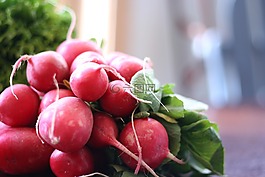 蘿卜,蔬菜,新鮮