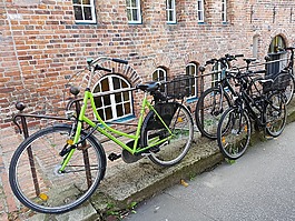 自行車,輪,循環(huán)
