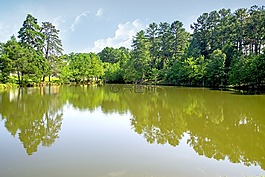 湖,綠色,水