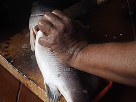 魚,食品,海鮮