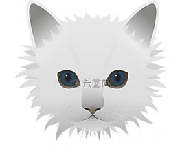 貓,動物,寵物