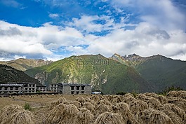 彩虹,農(nóng)村,自然