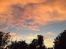 日出,側(cè)影,自然