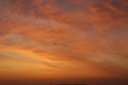 日出,鳥,葡萄牙