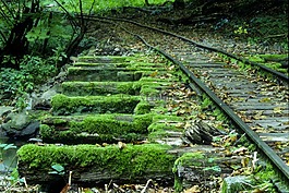鐵路,棄,苔