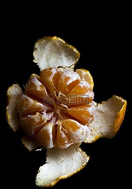柑橘,食品,水果