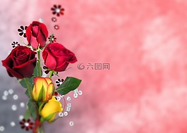 花,安排,玫瑰