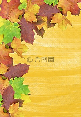 秋季,背景,葉子