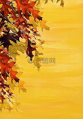 秋季,背景,葉子