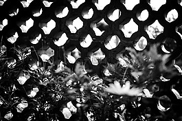 窗口,度假村,bnw