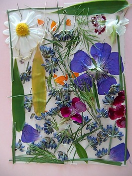 花卉图片,艺术,streublumen