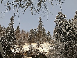 纽伦堡附近 breitachklamm,冬天,弗罗斯特