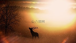 字段,性質(zhì),赫爾