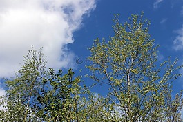 天空,云,藍(lán)色