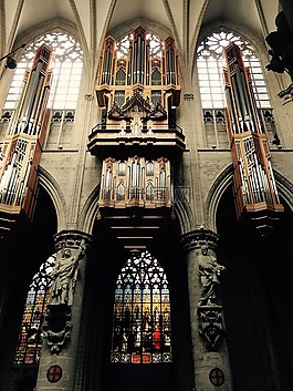 鋼琴,大教堂,布魯塞爾