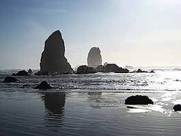 海岸線,海灘,沙