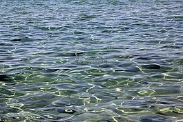 水域,性質(zhì),海