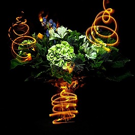 lightpainting,鲜花,方