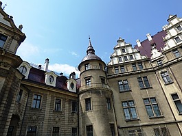 城堡,宫,阴囊
