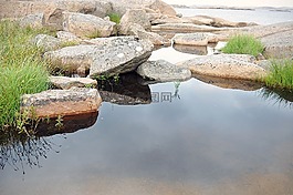 仍,水,夏天