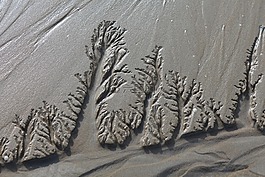 北海,瓦登海,繪制沙