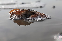 北海,美国瓦茨,海