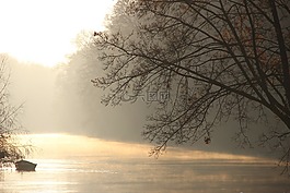 河,霧,樹