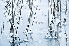 里德,凍結(jié),冷