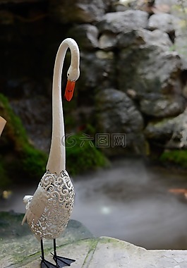 天鵝,花園,景觀