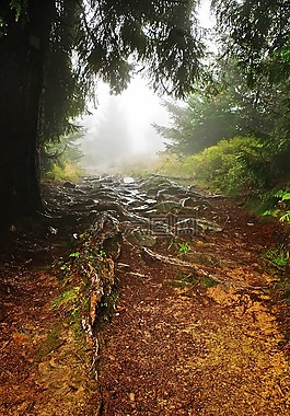 山,遠足徑,熱