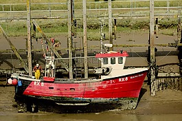釣魚(yú),船,水