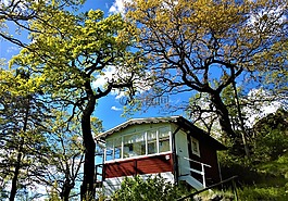 山寨,涼亭,torp