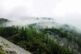 山,霧,潮濕