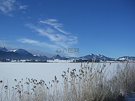 湖,冬天,冰