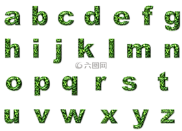 字母表,環(huán)境,生態(tài)