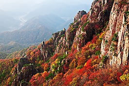 山,秋天的樹葉,秋季