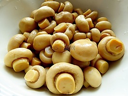 集裝箱,蘑菇,營(yíng)養(yǎng)