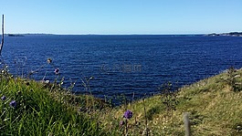 夏天,海,挪威