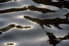 水,鏡像,lichtspiel