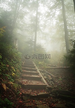 山,遠足徑,霧