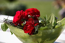 性質(zhì),花,玫瑰