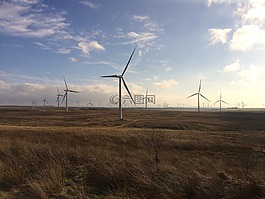 風電場,whitelee風,可再生能源